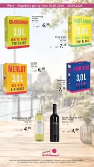 Getränke Lehmann Katalog | Wein - Angebote Gultig ~ | 2026-09-14T00:00:00.000Z - 2026-09-30T00:00:00.000Z