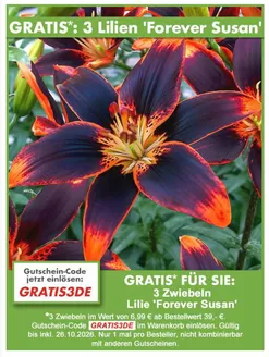 Baldur Garten Katalog | Gratis: 3 Lilien Forever Susan | 2026-10-23T00:00:00.000Z - 2026-10-31T00:00:00.000Z
