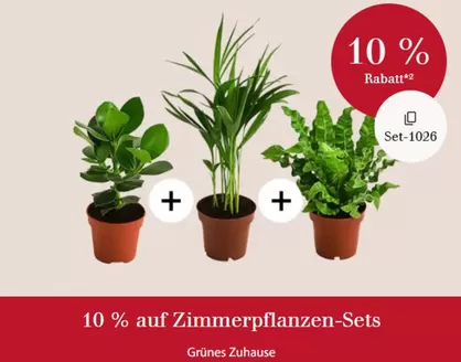 Dehner Katalog | 10% Rabatt!!! | 2026-10-23T00:00:00.000Z - 2026-11-07T00:00:00.000Z