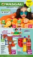 Wasgau Katalog in Leun | Wasgau flugblatt | 2026-01-26T00:00:00.000Z - 2026-01-31T00:00:00.000Z