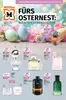 Müller Katalog in Pocking | Exklusive Schnäppchen | 2026-03-23T00:00:00.000Z - 2026-04-04T00:00:00.000Z