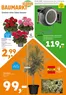 Globus Baumarkt Katalog in Braubach | Globus Baumarkt prospekt | 2026-05-04T00:00:00.000Z - 2026-05-09T00:00:00.000Z