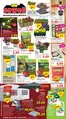 Jawoll Katalog | Jawoll flugblatt | 2026-06-01T00:00:00.000Z - 2026-06-06T00:00:00.000Z