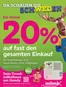 Mömax Katalog | Top-Angebote für Sparfüchse | 2026-06-01T00:00:00.000Z - 2026-06-08T00:00:00.000Z