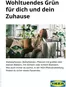IKEA Katalog | Bf leitfaden pflanzen 07 2026 online | 2024-01-01T00:00:00.000Z - 2026-12-31T00:00:00.000Z