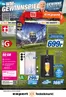 Expert Katalog | Ehg kw25 2026 | 2026-06-12T00:00:00.000Z - 2026-06-18T00:00:00.000Z