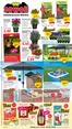Jawoll Katalog in Bitburg | Jawoll Prospekt kw25 2026 | 2026-06-15T00:00:00.000Z - 2026-06-20T00:00:00.000Z