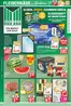 Marktkauf Katalog | Aktuelle Schnäppchen und Angebote | 2026-06-15T00:00:00.000Z - 2026-06-27T00:00:00.000Z