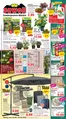 Jawoll Katalog in Hittfeld | Jawoll flugblatt | 2026-06-22T00:00:00.000Z - 2026-06-27T00:00:00.000Z