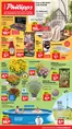 Thomas Philipps Katalog | TP26 Juli 1 KW 28 DE digitale ausgaben 150dpi einzelseiten 1 | 2026-07-06T00:00:00.000Z - 2026-07-11T00:00:00.000Z