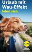 Lidl Katalog in Stadtlengsfeld | Urlaub mit Hund | 2026-07-30T00:00:00.000Z - 2026-12-31T00:00:00.000Z