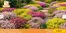 Baldur Garten Katalog in Stadtlengsfeld | % Aktion | 2026-07-31T00:00:00.000Z - 2026-08-20T00:00:00.000Z