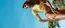Douglas Prospekt in Schwedt-Oder | Douglas flugblatt | 2026-08-10T00:00:00.000Z - 2026-08-23T00:00:00.000Z