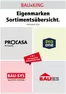 Bauking Katalog | Eigenmarken Sortimentsübersicht | 2026-08-11T00:00:00.000Z - 2026-08-31T00:00:00.000Z