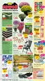 Jawoll Katalog | Jawoll Prospekt kw34 2026 | 2026-08-17T00:00:00.000Z - 2026-08-22T00:00:00.000Z