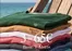 Superdry Prospekt in Bogen | Basic T-Shirts | 2026-09-17T00:00:00.000Z - 2026-10-21T00:00:00.000Z
