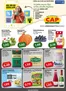 CAP Markt Katalog in Herxheim bei Landau- Pfalz | Rabatte und Aktionen | 2026-09-21T00:00:00.000Z - 2026-09-26T00:00:00.000Z