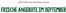 Bio Company Katalog | Frische Angebote Im September ! | 2026-09-25T00:00:00.000Z - 2026-09-30T00:00:00.000Z