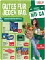 Feneberg Katalog | BlC3A4tterkatalog KW 42 | 2026-10-12T00:00:00.000Z - 2026-10-17T00:00:00.000Z