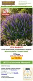 Baldur Garten Prospekt in Obing | 15% Rabatt!! | 2026-10-12T00:00:00.000Z - 2026-10-14T00:00:00.000Z