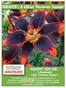 Baldur Garten Katalog | Gratis: 3 Lilien Forever Susan | 2026-10-23T00:00:00.000Z - 2026-10-31T00:00:00.000Z
