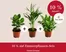 Dehner Katalog | 10% Rabatt!!! | 2026-10-23T00:00:00.000Z - 2026-11-07T00:00:00.000Z