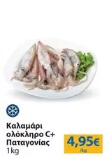 Καλαμάρι ολόκληρο C+ Παταγονίας