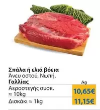 Σπάλα ή ελιά βόεια