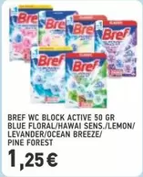 Blue - WC BLOCK ACTIVE 50 GR