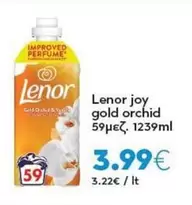 It - Joy Gold Orchid