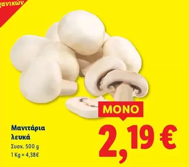 Μανιτάρια λευκά