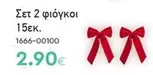 Σετ 2 φιόγκοι
