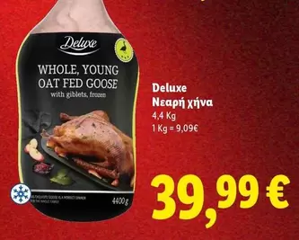 Frozen - Νεαρή χήνα