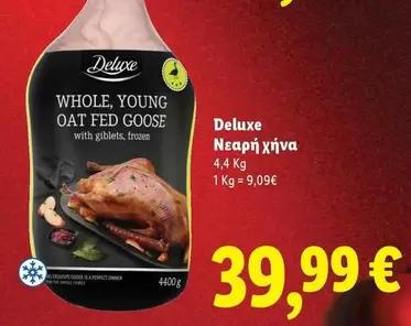 Frozen - WHOLE, YOUNG OAT FED GOOSE