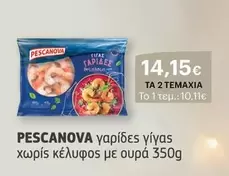 γαρίδες γίγας