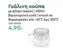 Γυάλινη κούπα με φίλτρο τσαγιού