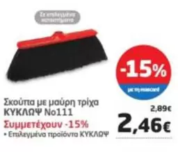 Σκούπα με μαύρη τρίχα Νο111