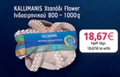 Flower - Χταπόδι