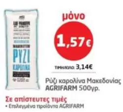 Ρύζι καρολίνα