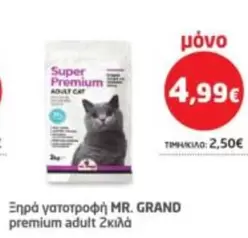 Cat - Premium Adult