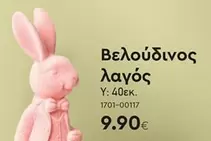 Βελουδινος λαγος 1701-00117