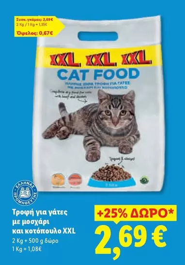 Cat - CAT FOOD