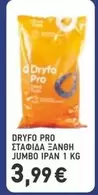 Pro - ΣΤΑΦΙΔΑ ΞΑΝΘΗ JUMBO IPAN