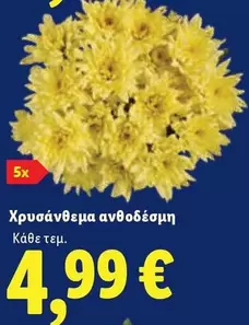 Χρυσάνθεμα ανθόδεσμη