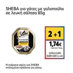 για γάτες με γαλοπούλα σε λευκή σάλτσα