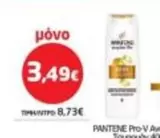 Pro - Shampoo
