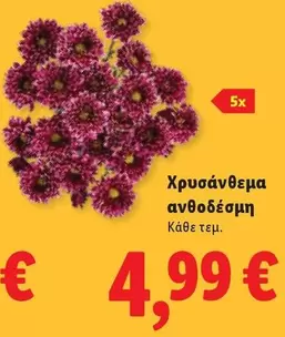 Χρυσάνθεμα ανθοδέσμη
