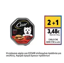 Cesar