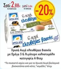6 αυγά ελευθέρας βοσκής με Ωμέγα 3 & λιγότερη χοληστερόλη κατηγορία Α
6 αυγά ελευθέρας βοσκής