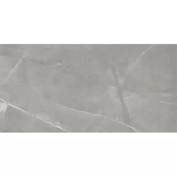 Executive Gris Glossy Rectified 120 x 240